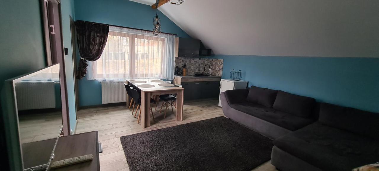 Comfort Home Apartment 3 Petrosani Luaran gambar