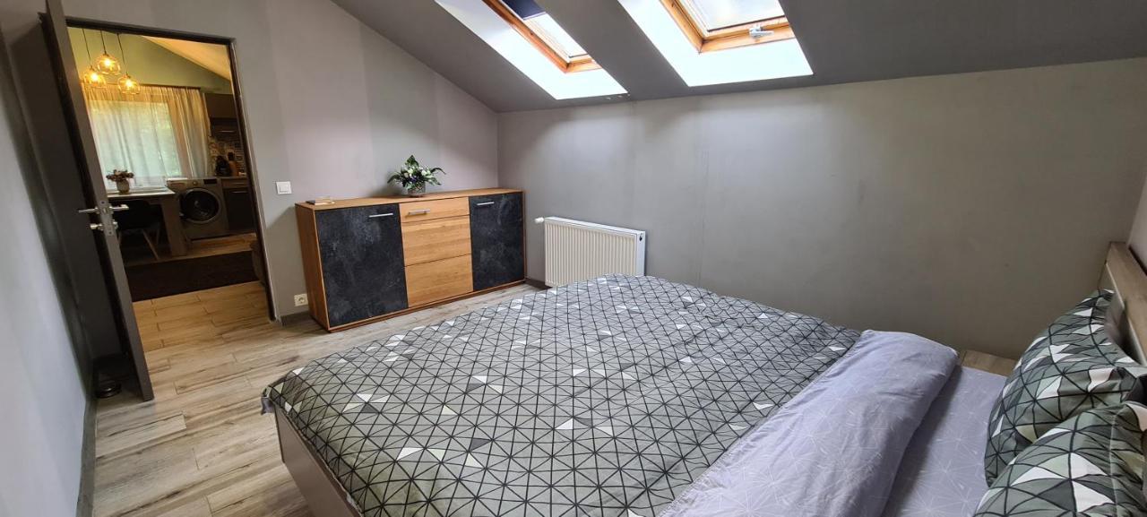 Comfort Home Apartment 3 Petrosani Luaran gambar