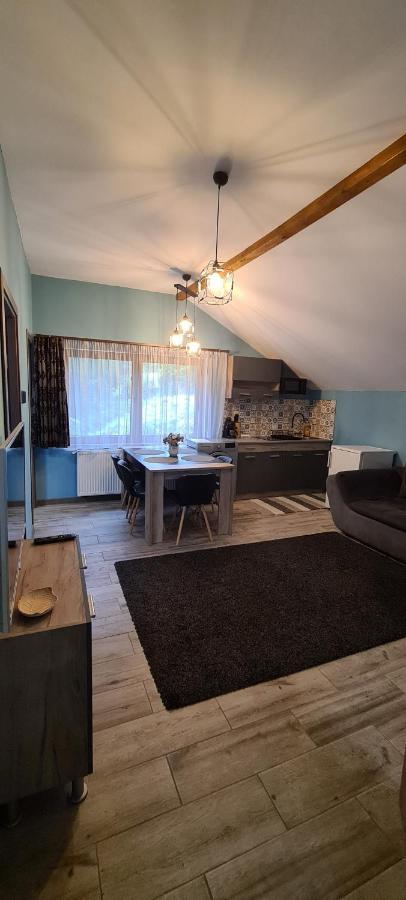 Comfort Home Apartment 3 Petrosani Luaran gambar